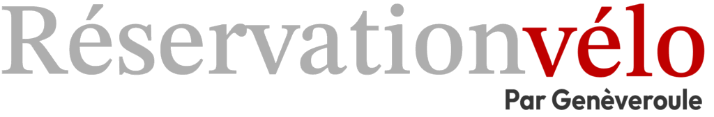 Logo-Tourbillon-Velo_gris